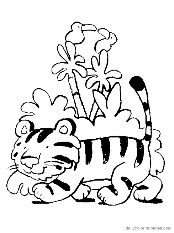 Baby tigre in libertà  da colorare per bambini