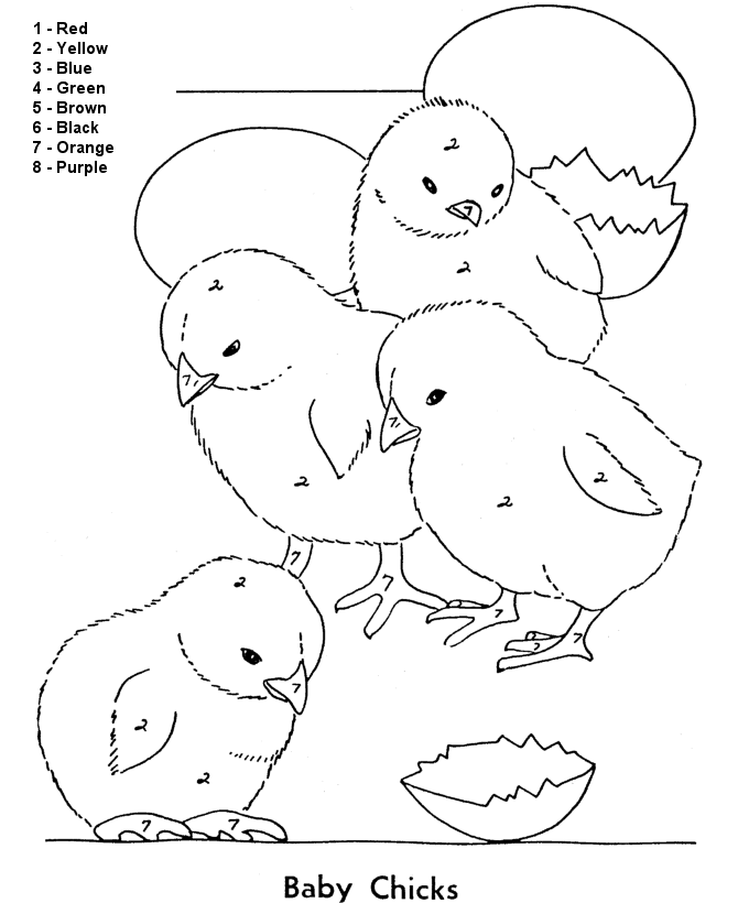 Colora coi numeri i pulcini