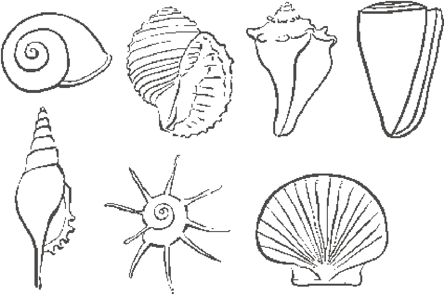 Ракушка нарисовать для детей