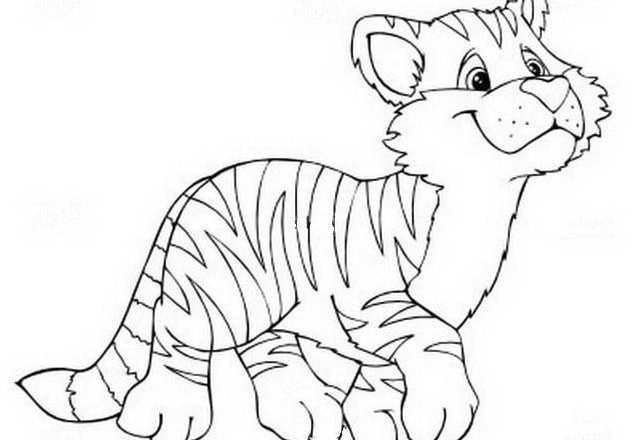 Cucciolo di tigre disegni da stampare