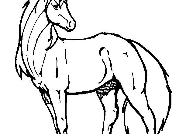 Fiero unicorno disegno da colorare gratis