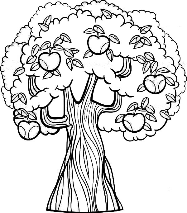 apple tree cartoon for coloring book