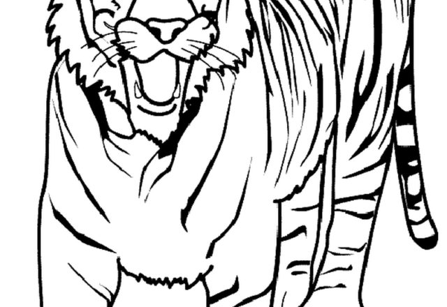 Grande tigre immagine da colorare categoria animali