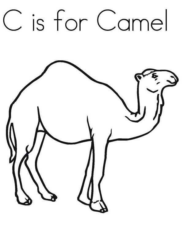 La lettera C di cammello disegno da colorare