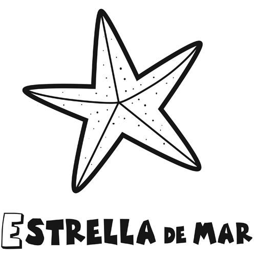 La stella marina da colorare