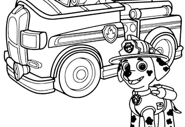 Marshall paw patrol con furgoncino disegni da colorare gratis