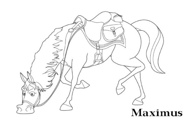 Maximus 2 disegni da colorare gratis