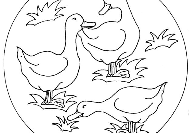 Papere paperelle disegni da colorare gratis animali (29)