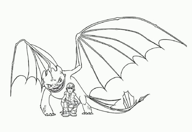 Sdentato e Hiccup Dragon Trainer da colorare