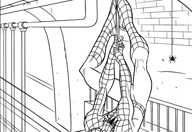 Spiderman appeso a testa in giù disegno da colorare gratis