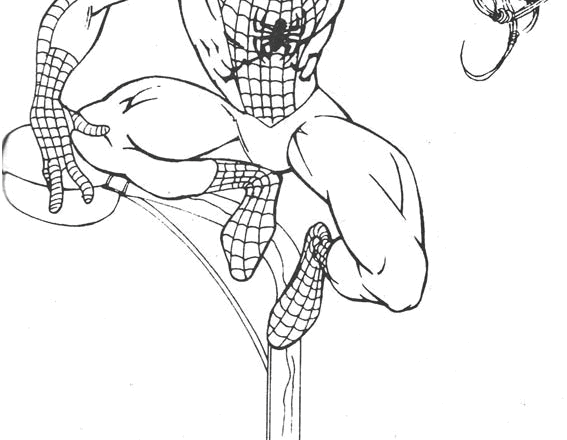 Spiderman per bambini disegno da colorare