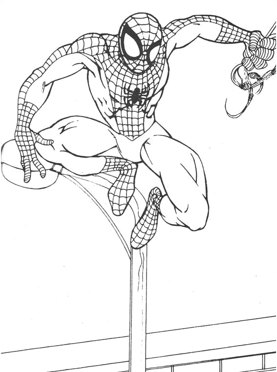 Spiderman per bambini disegno da colorare