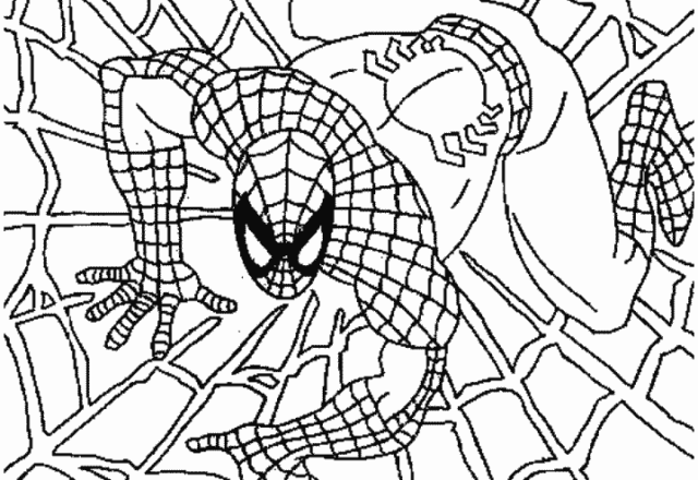 Spiderman su una grande ragnatela disegno da stampare per i bambini