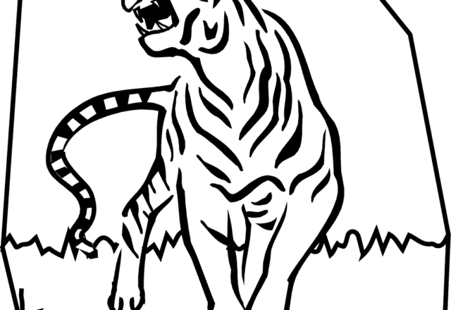 Tigre arrabbiata disegni da colorare