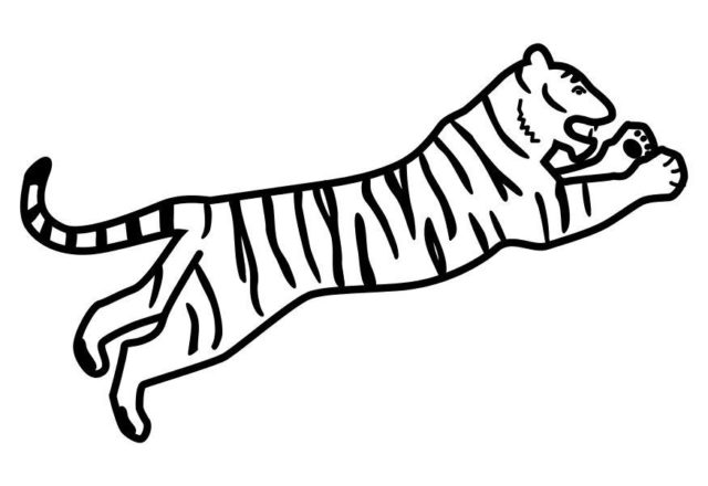 Tigre che salta disegni da colorare