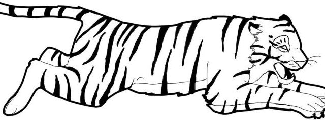 Tigre in corsa disegni da stampare di animali