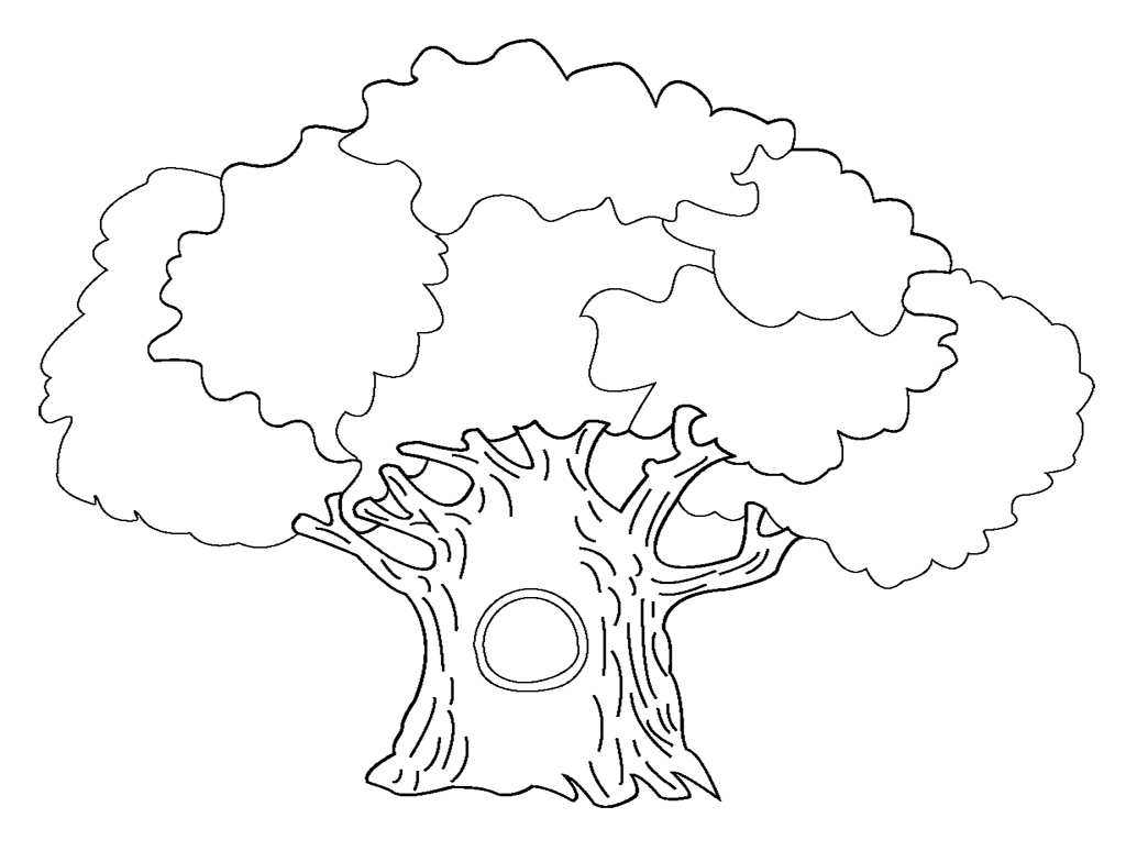 Un albero con la cavità disegni da colorare