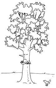 Un albero ed un uccellino disegni da colorare