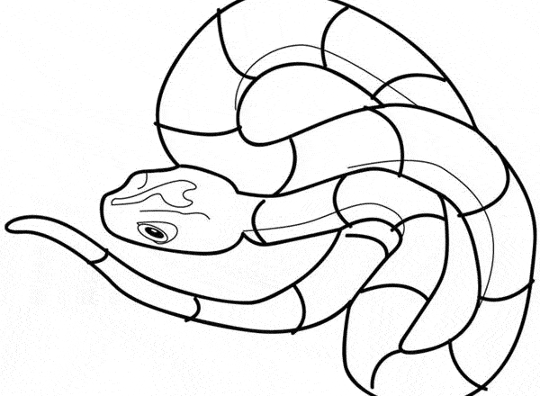 Un serpente da colorare per i bimbi