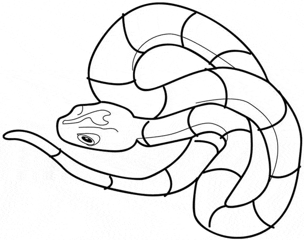 Un serpente da colorare per i bimbi