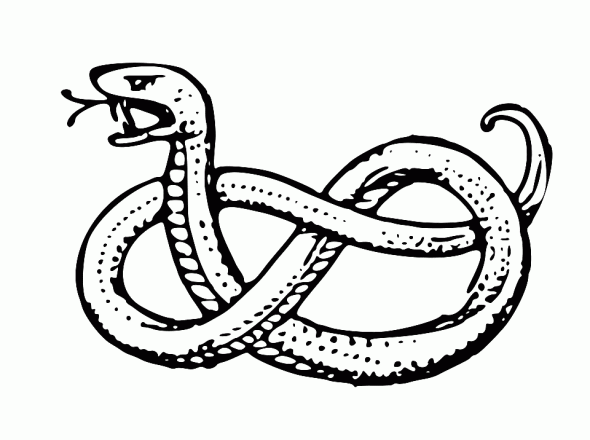 Un serpente disegni da colorare gratuiti