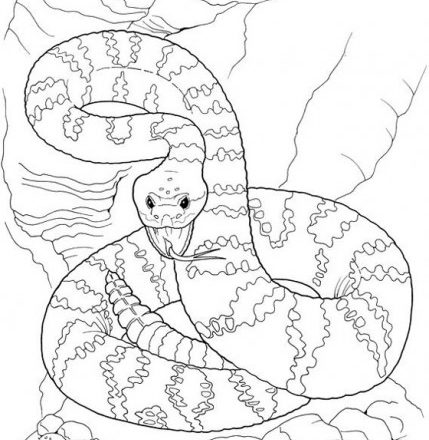 Un serpente pericoloso disegni da colorare per bambini