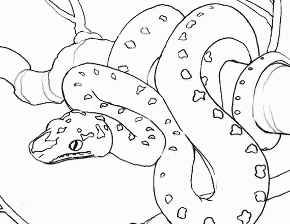 Un serpente realistico nel suo habitat naturale disegno