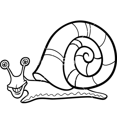 snail mollusk cartoon for coloring book