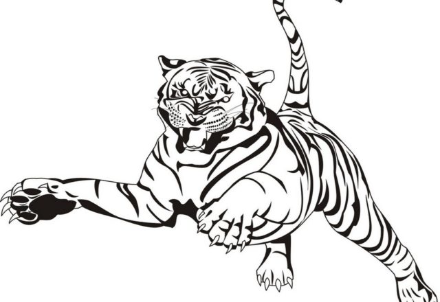 Una tigre all’ attacco disegni da colorare gratis