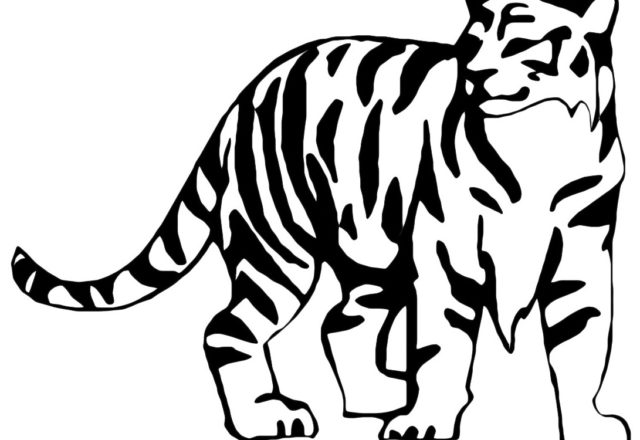 Una tigre da colorare per bimbi e bimbe