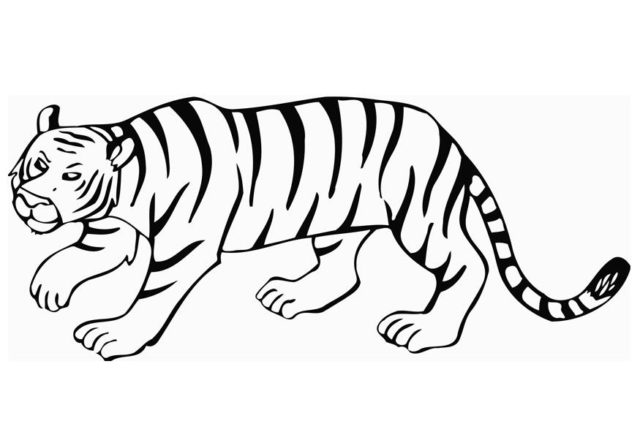 Una tigre disegni da colorare per i bambini