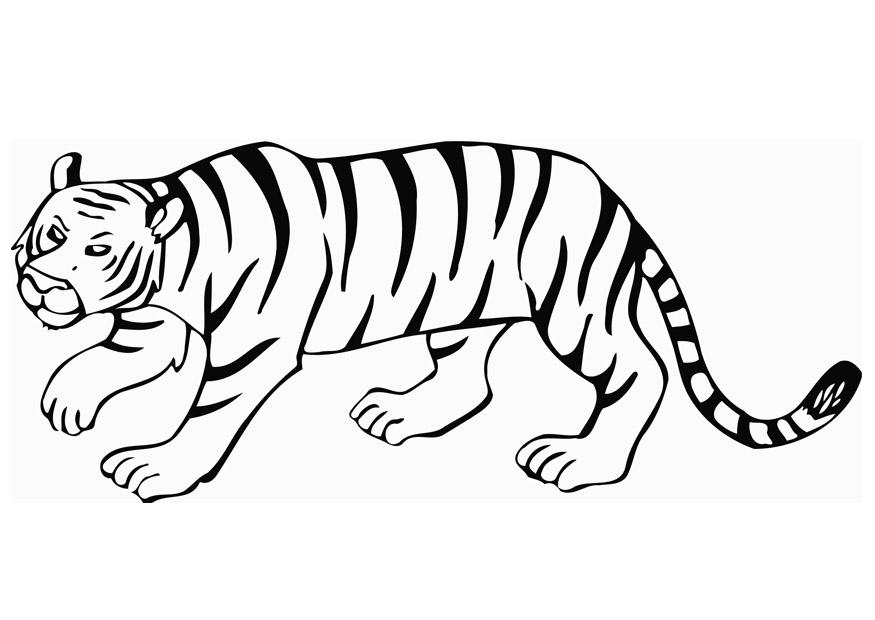 Una tigre disegni da colorare per i bambini