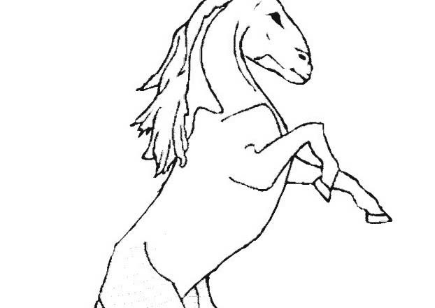 Unicorno fiero di se disegno da colorare per i bambini