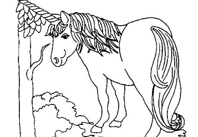 Unicorno nella foresta disegno da colorare gratis