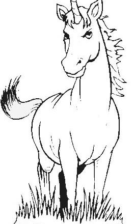 Unicorno sul prato disegno da stampare gratis