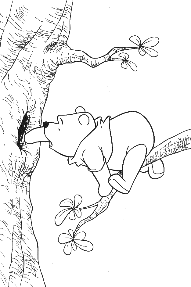 disegni_da_colorare_winnie_the_pooh_sul_ramo