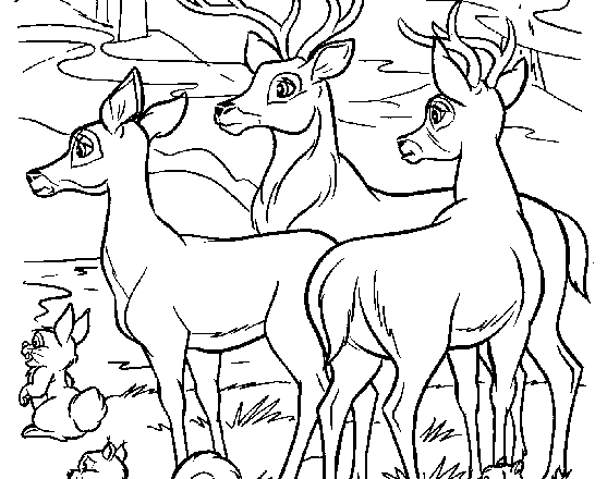 disegni_per_bambini_gli_amici_di_bambi