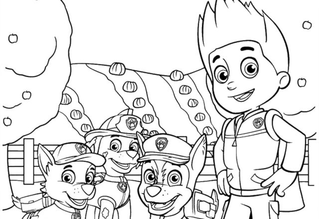 i cuccioloi paw patrol disegni da colorare gratis per bambini