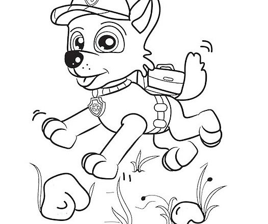 rocky paw patrol corre felice disegni per bambini da colorare