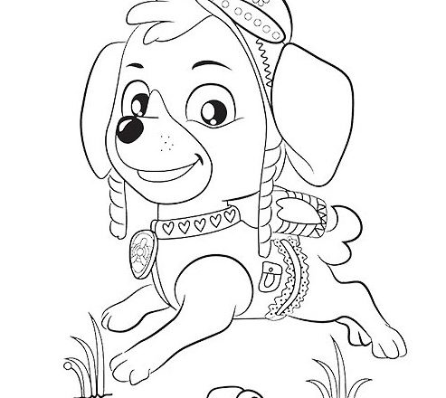 skye paw patrol disegni da colorare gratis per bambini