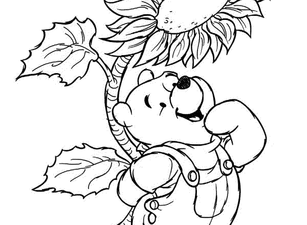 winnie_the_pooh_con_girasole